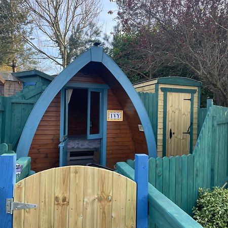 Glamping In The 2Nd Field Hotel Aughrim Exterior photo